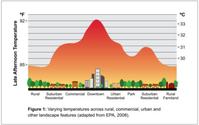 Urban shade trees are the key to building sustainable, healthy and ...